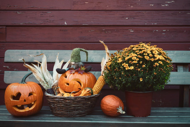 Tak Sekadar Seram! Ini Sejarah Kuno di Balik Perayaan Halloween yang Mendunia